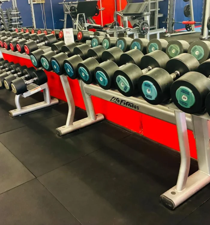 WhatsApp Image 2026-03-11 at 11.26.14 AM (1)